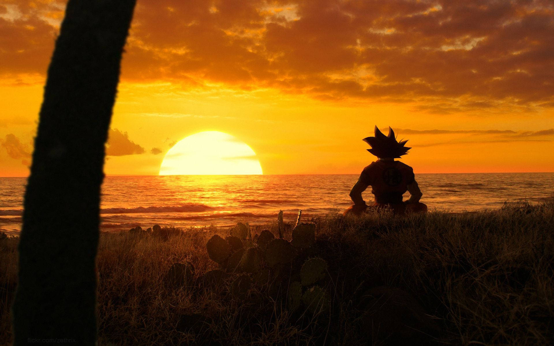 1920x1200 Goku Meditation Wallpaper