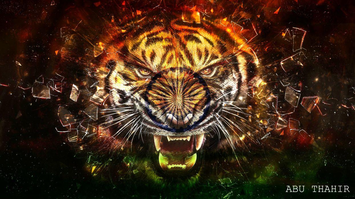 Indian Tiger Wallpapers - Top Free Indian Tiger Backgrounds ...