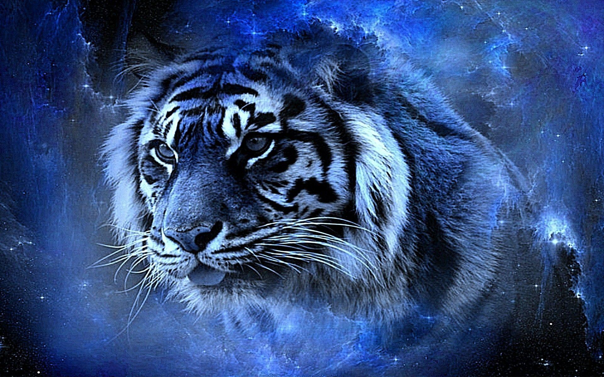 1920x1200 Indian Tiger Wallpaper 1920x1200