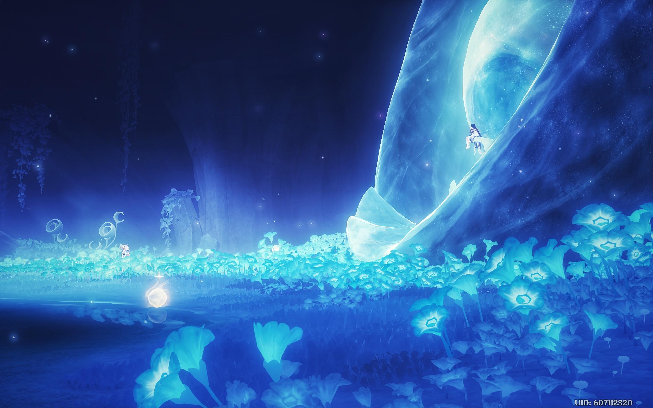 2560x1600 Nod Krai Wallpaper