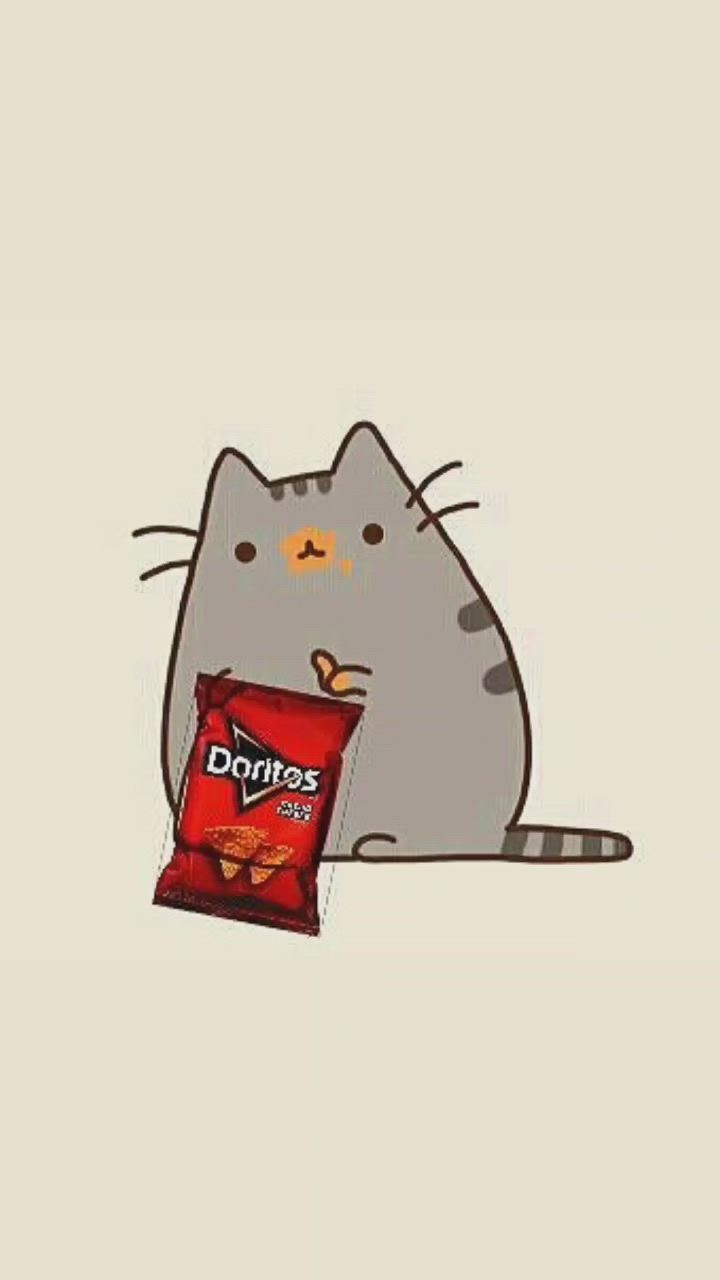 Cat Eating Chips Wallpapers Top Free Cat Eating Chips Backgrounds 