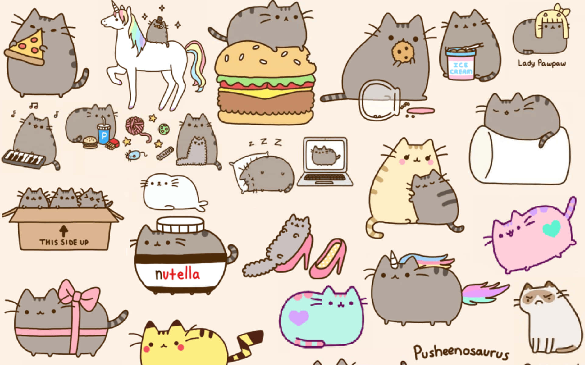 1920x1200 pusheen eating chips
