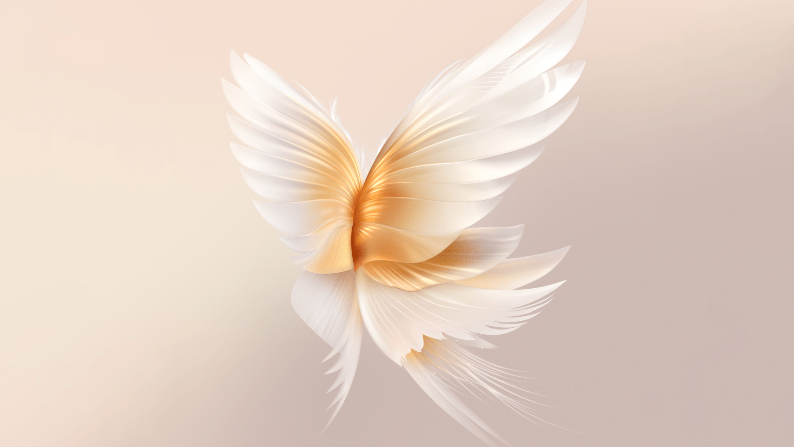 2560x1440 Angel wings Wallpaper 4K, Peach background, Honor, Stock