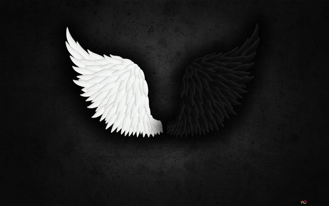1280x800 Black and white angel wing HD wallpaper download