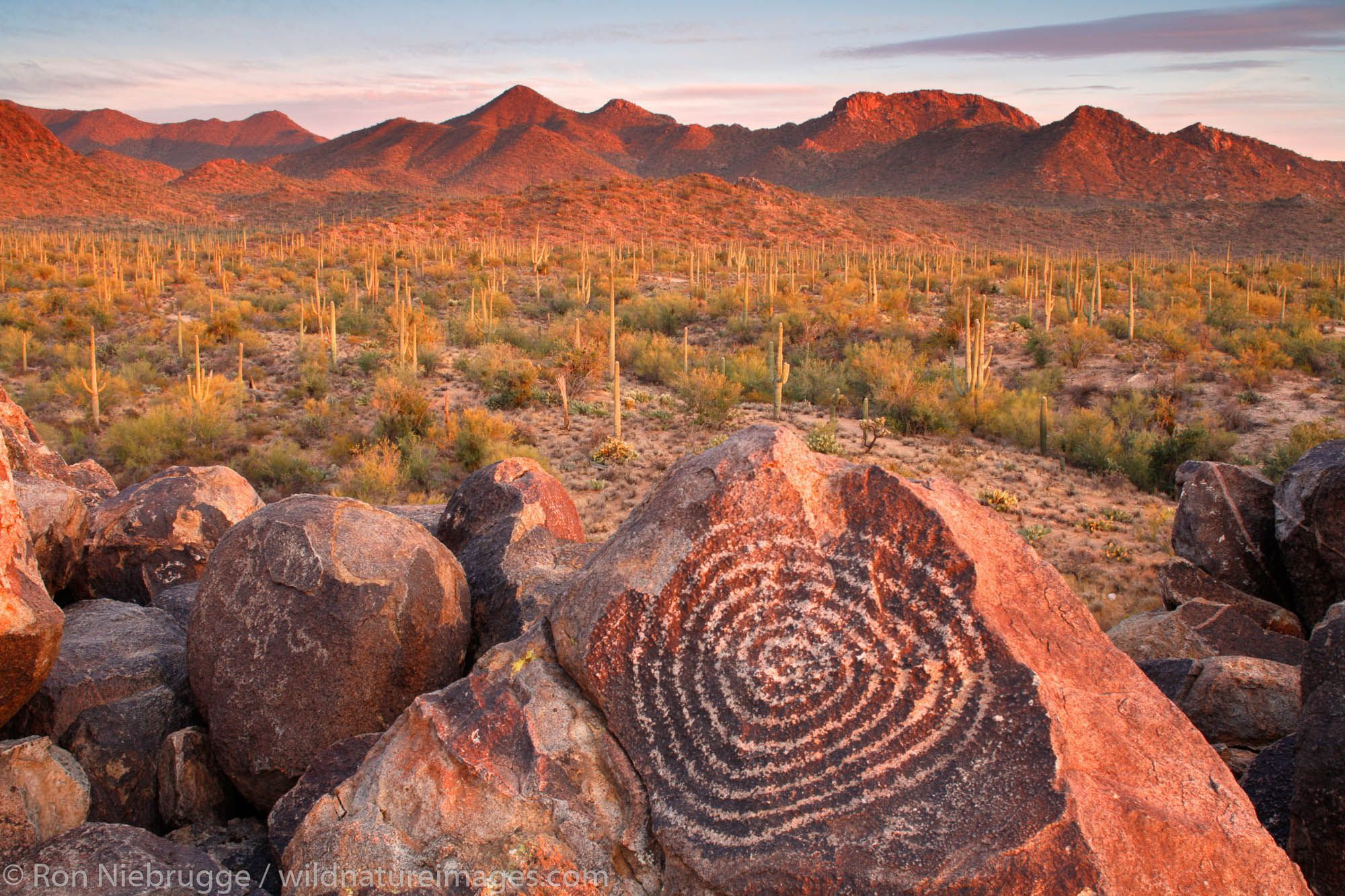 2000x1333 Saguaro National Park Photo. Photo