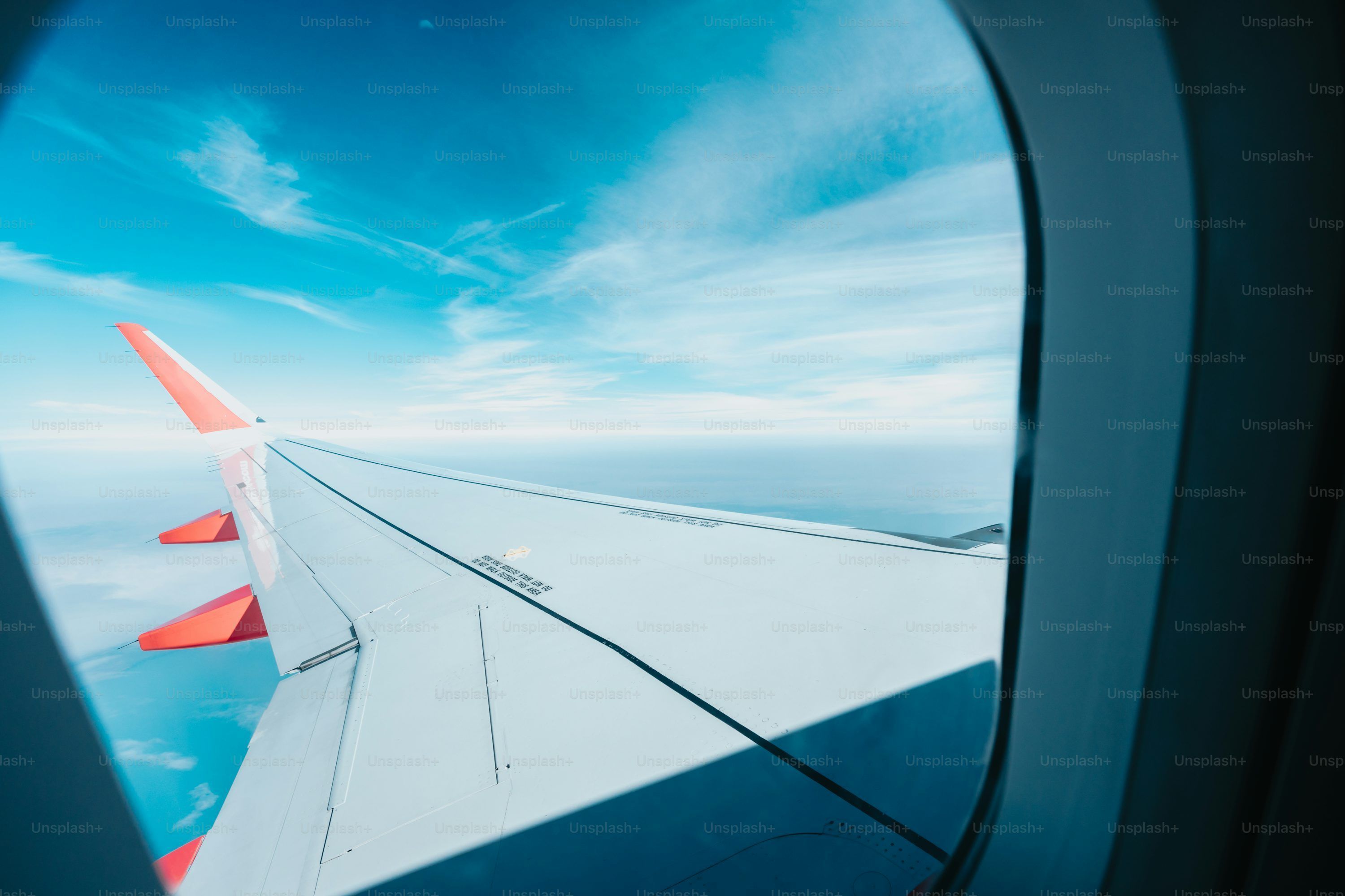 3000x2000 Wing Picture. Download Free Image
