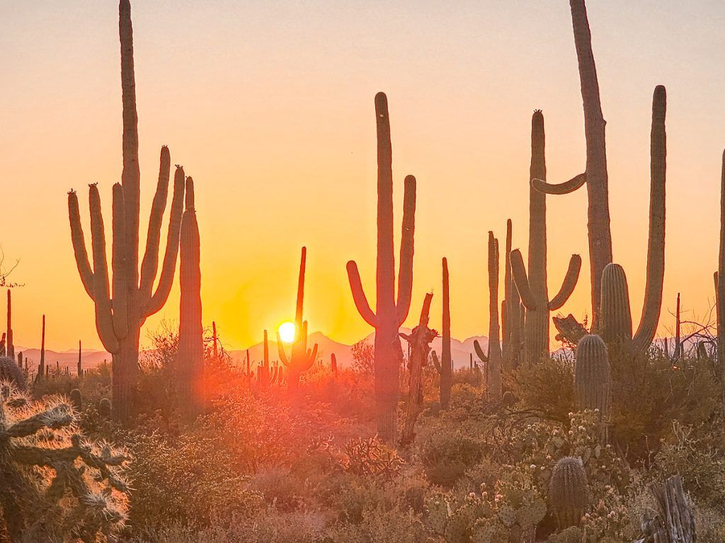 1024x768 Unforgettable Hikes in Saguaro National Park
