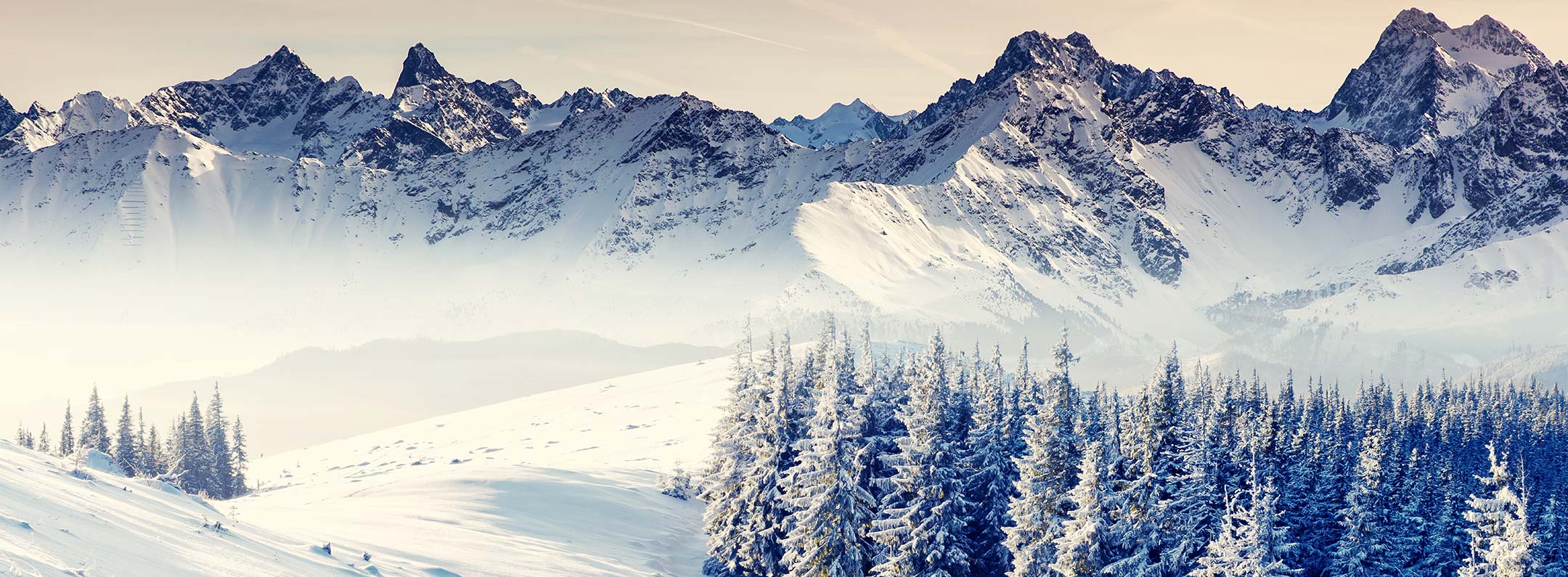 2160x795 Serene Winter Mountain Landscape Mural Wallpaper in Cool Tones, Natural Scenic Design