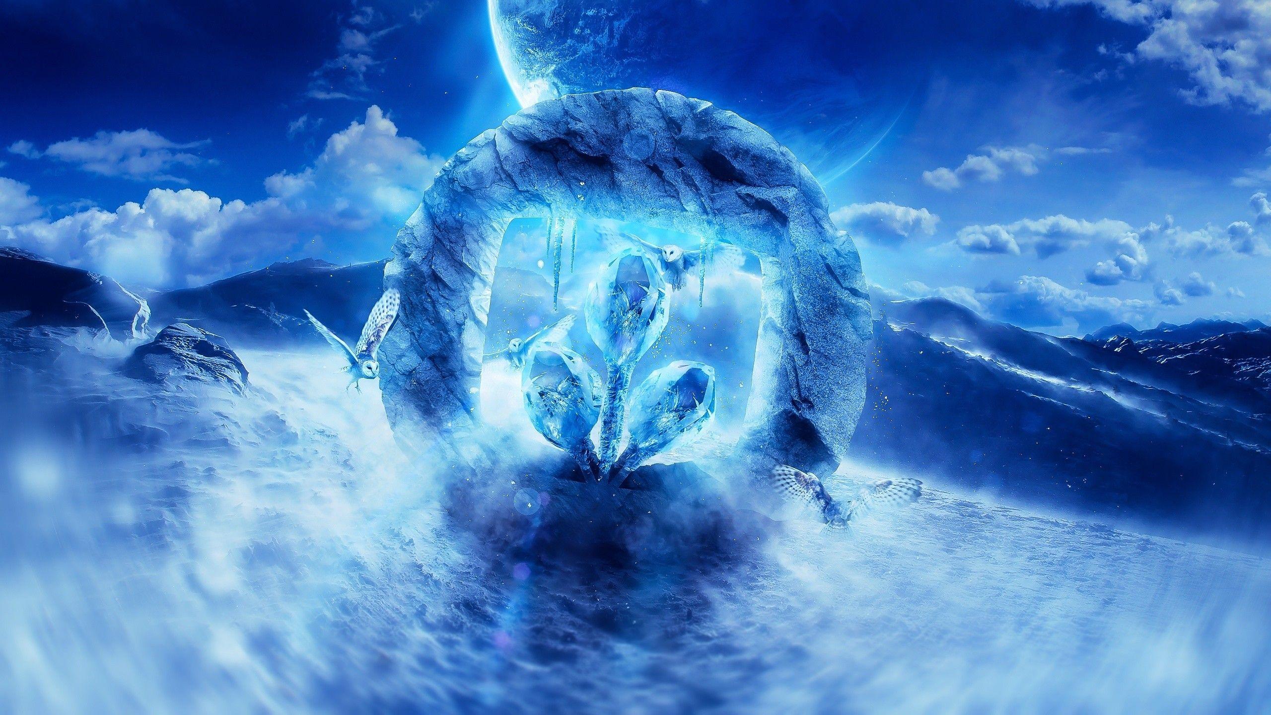 2560x1440 #owl, #ice, #snow, D, #nature, #Desktopography, #winter
