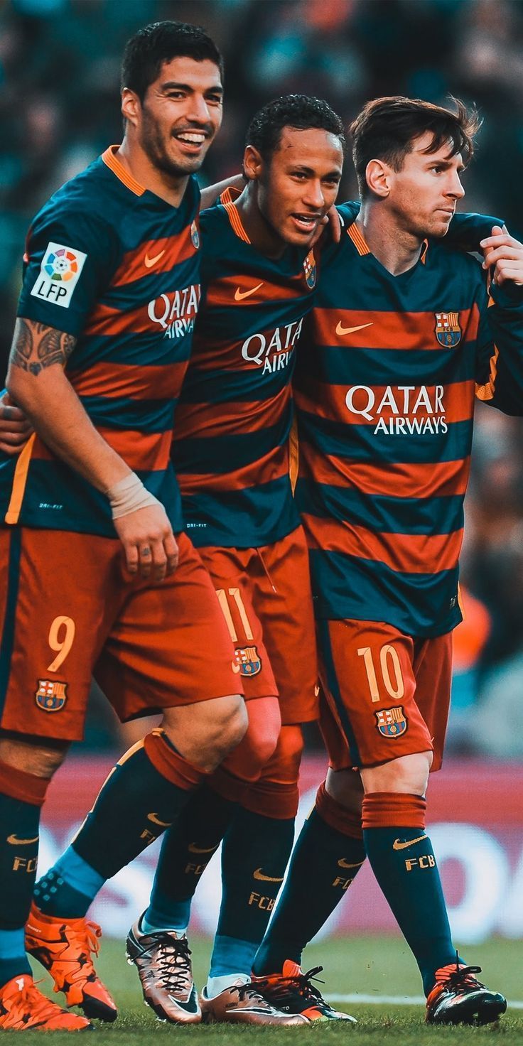 736x1472 MSN