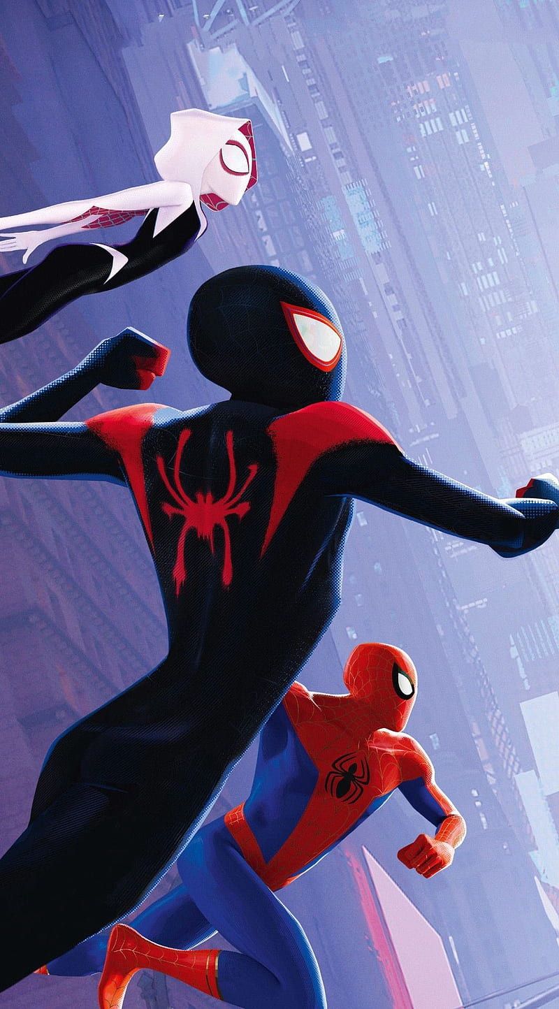 800x1444 Spidey Team Up, Gwen Stacy, Marvel, Miles Morales, Spider Gwen, Spiderman, HD Phone Wallpaper