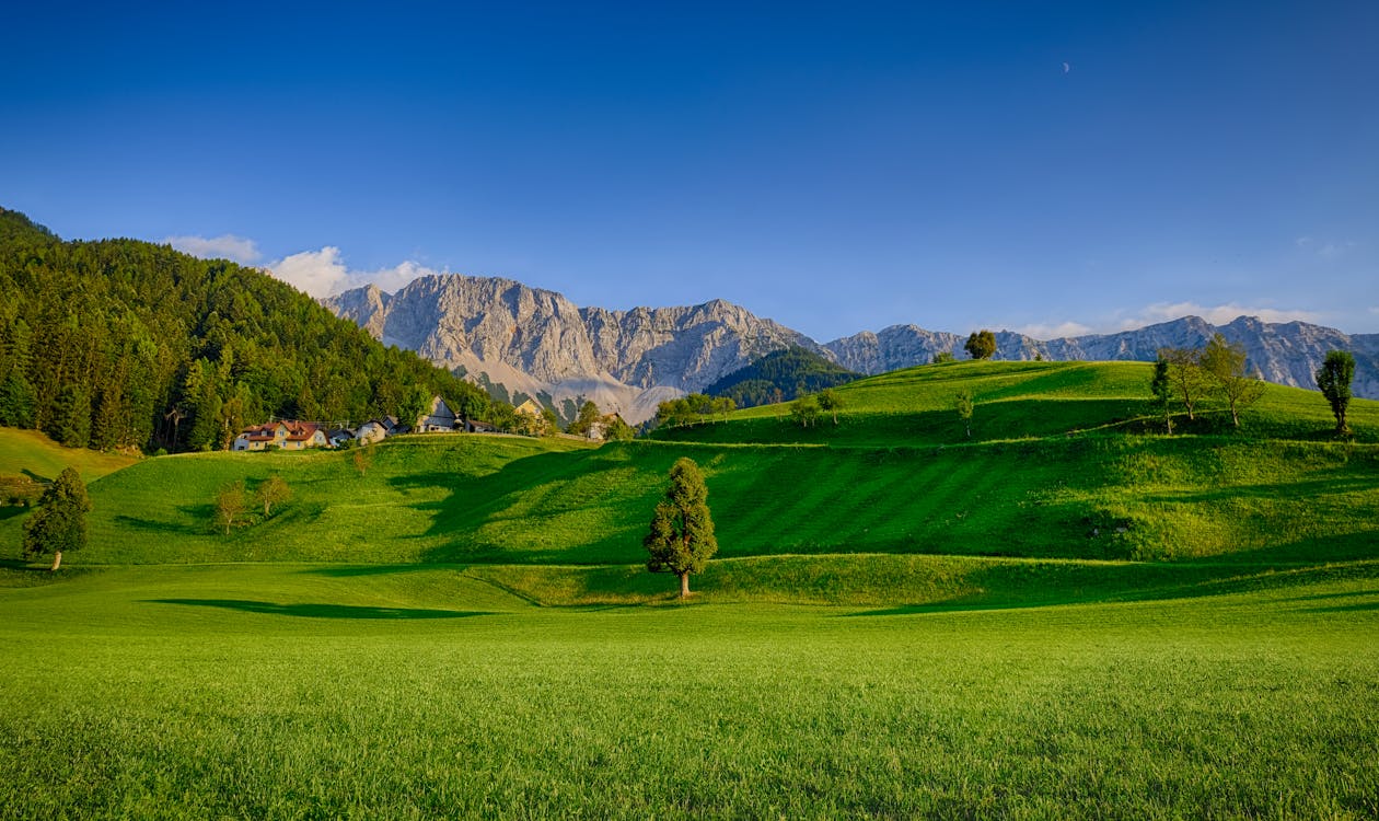1260x750 Landscape Photography Of Green Grass Field · Free