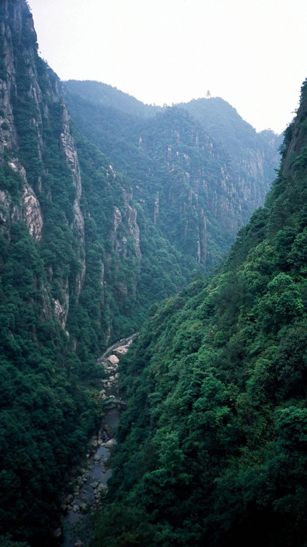 1080x1920 Nature Mountain Forest iPhone 6 Wallpaper HD HD