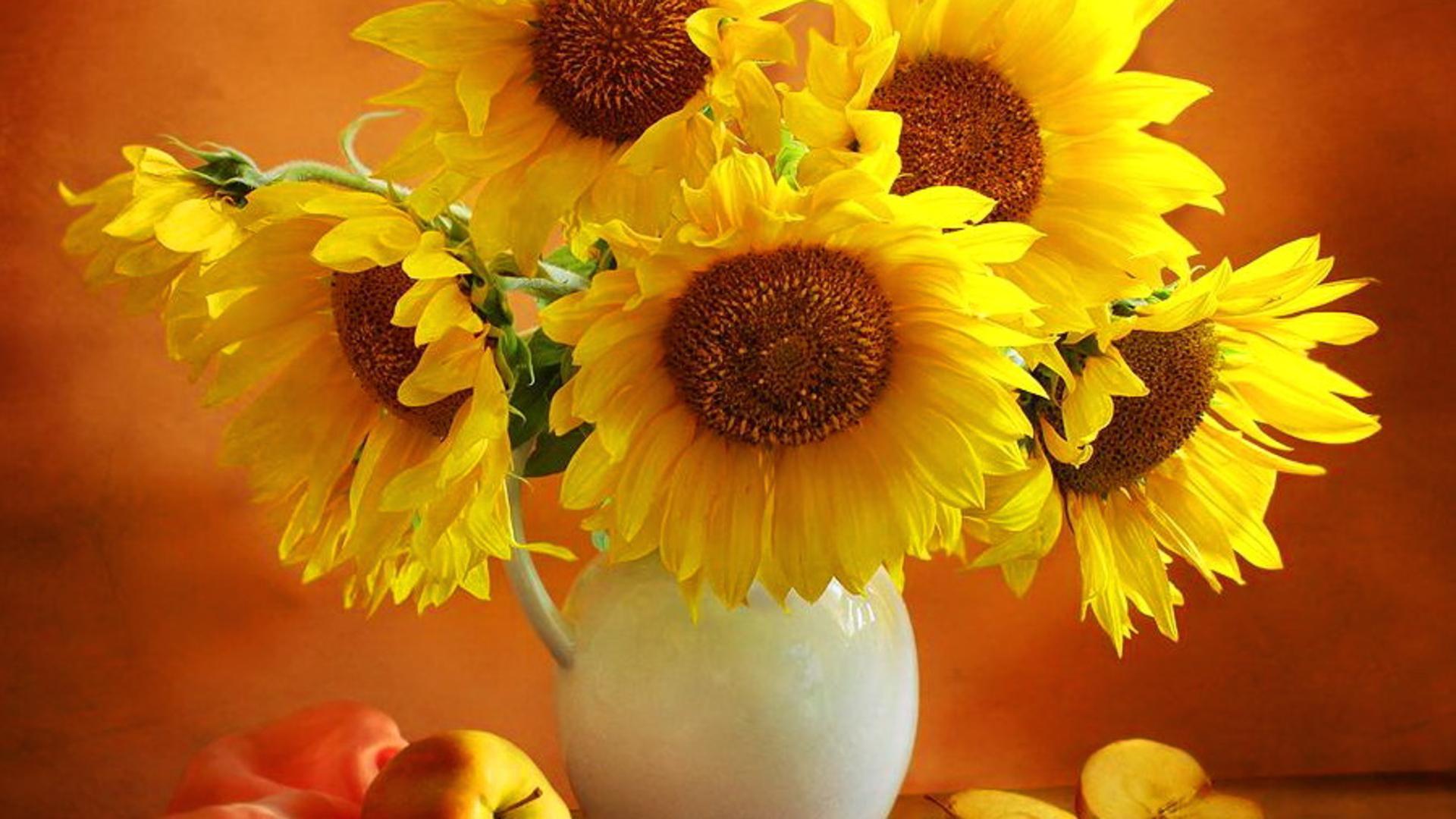 1920x1080 Yellow Flowers Desktop Wallpaper And Sunflowers, HD