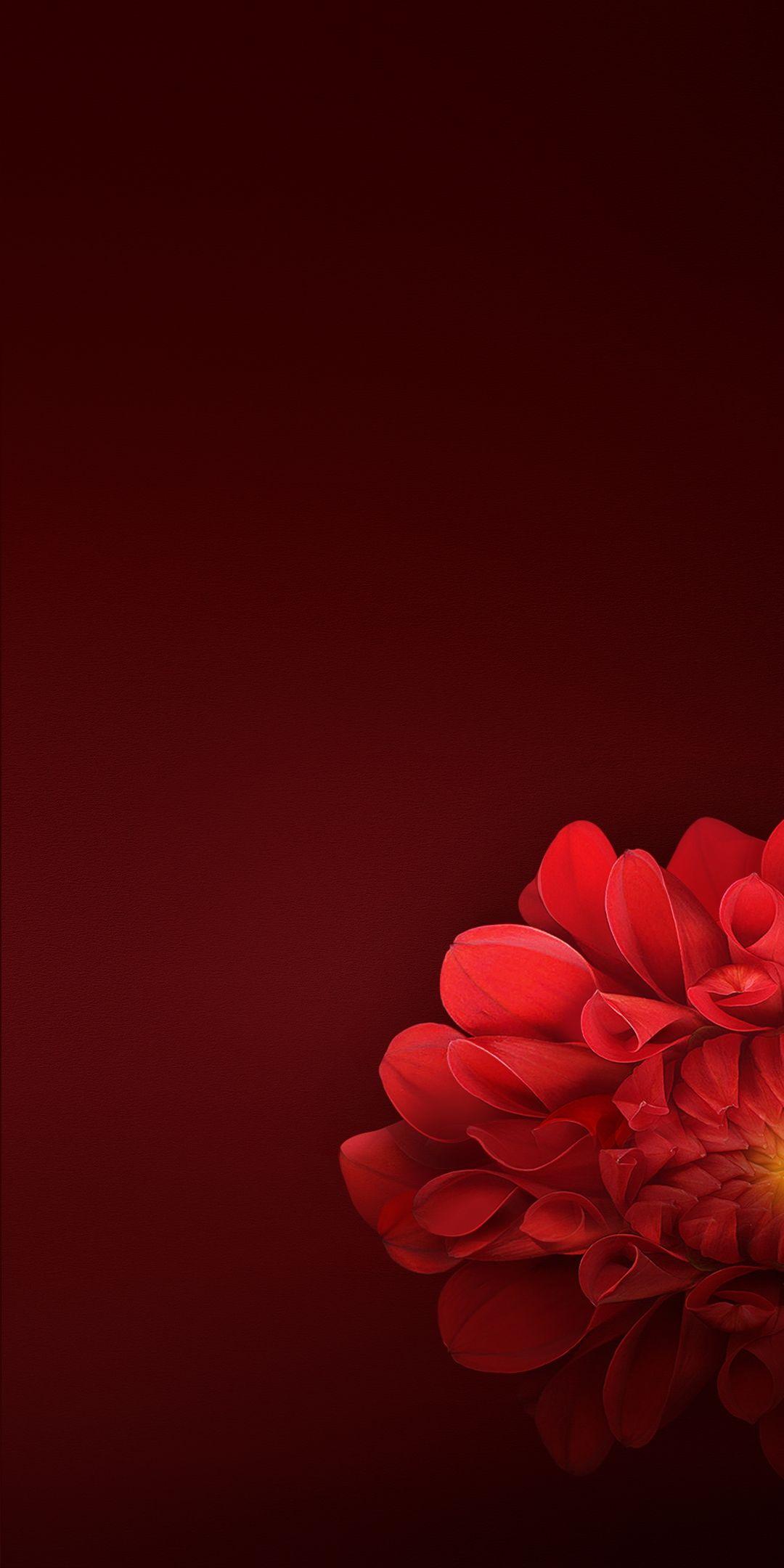 1080x2160 Download Realme 1 Stock Wallpaper
