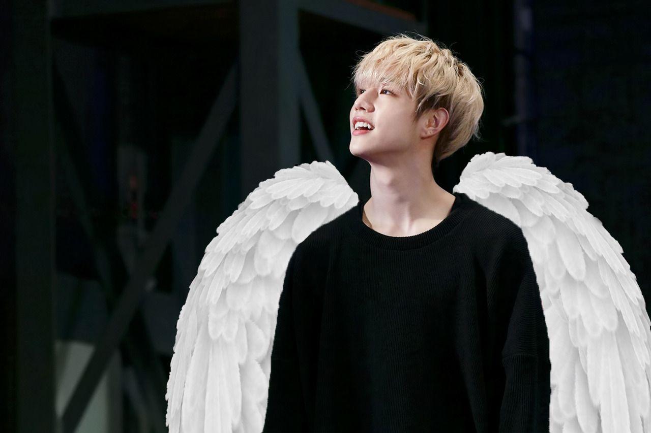 1280x853 Belovedmark