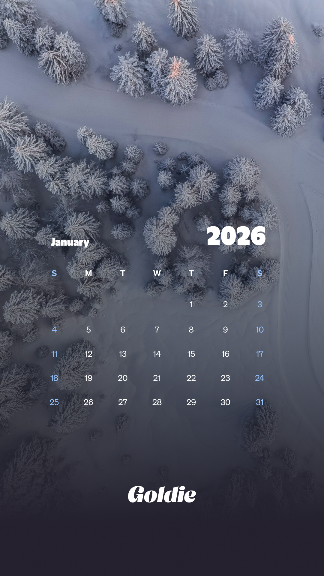 1080x1920 Free January 2026 Calendar Wallpaper