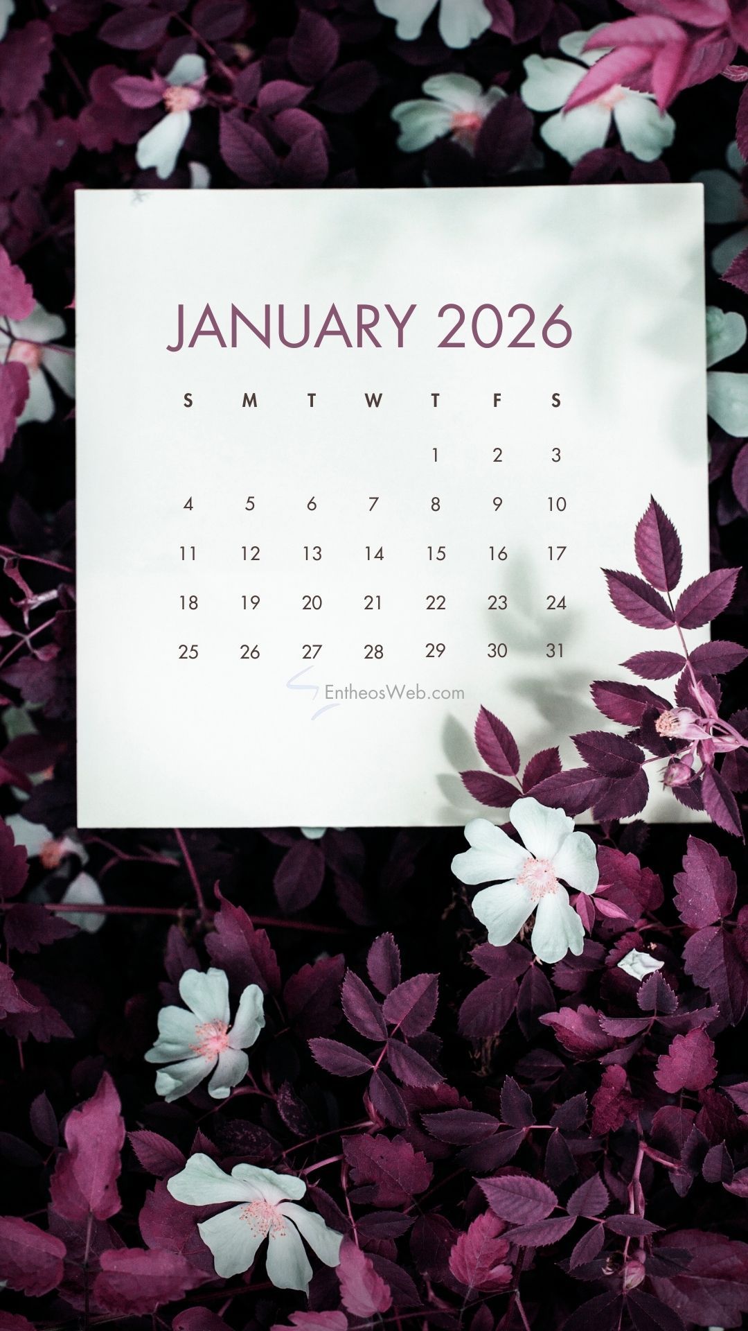 1080x1920 January 2026 Phone Wallpaper Calendars