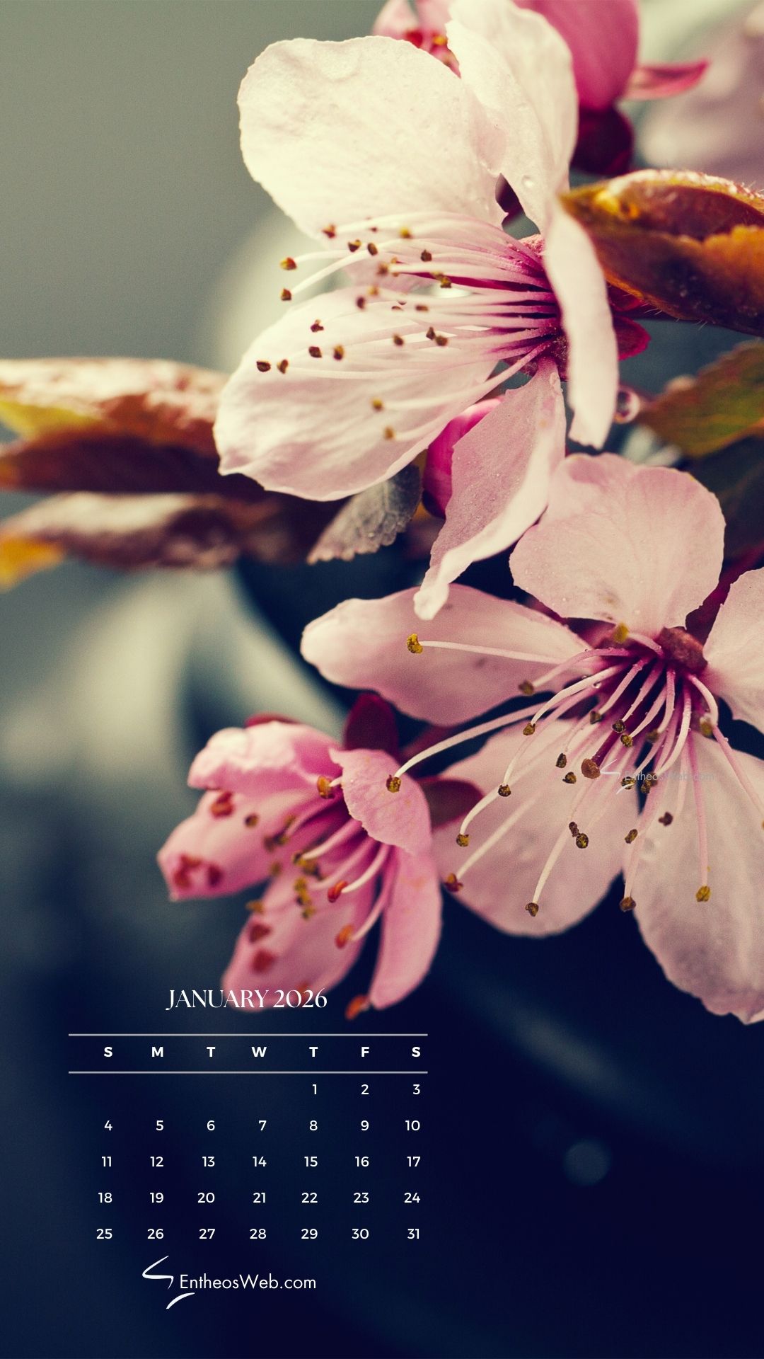 1080x1920 January 2026 Calendar Phone Wallpaper