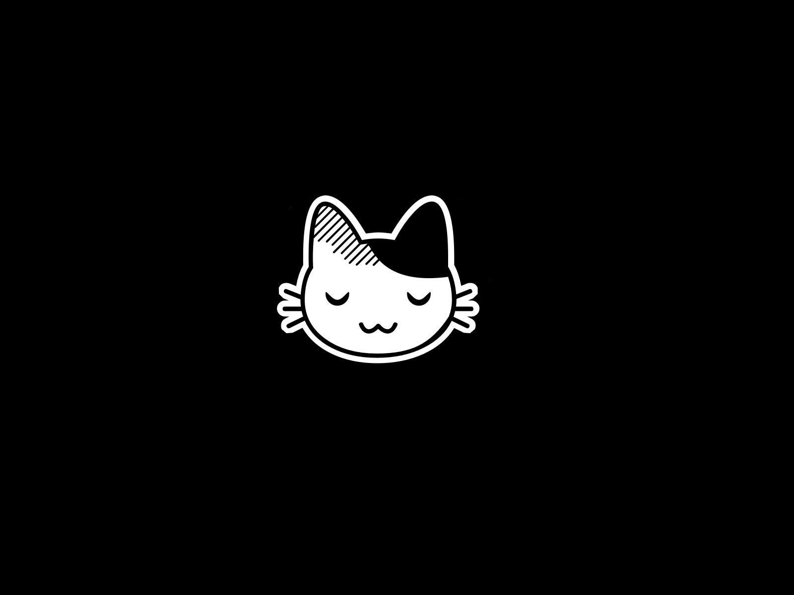 1600x1200 Cozy Cat HD Wallpaper: A Purrfect Digital Escape