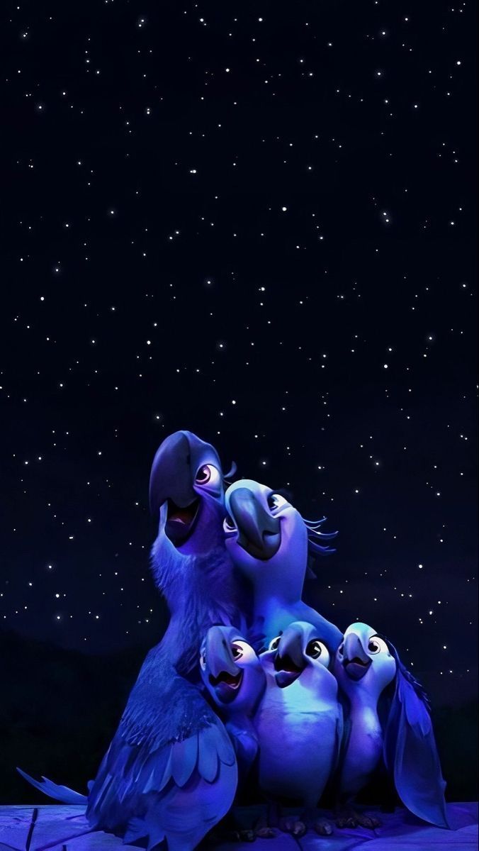 676x1200 Rio