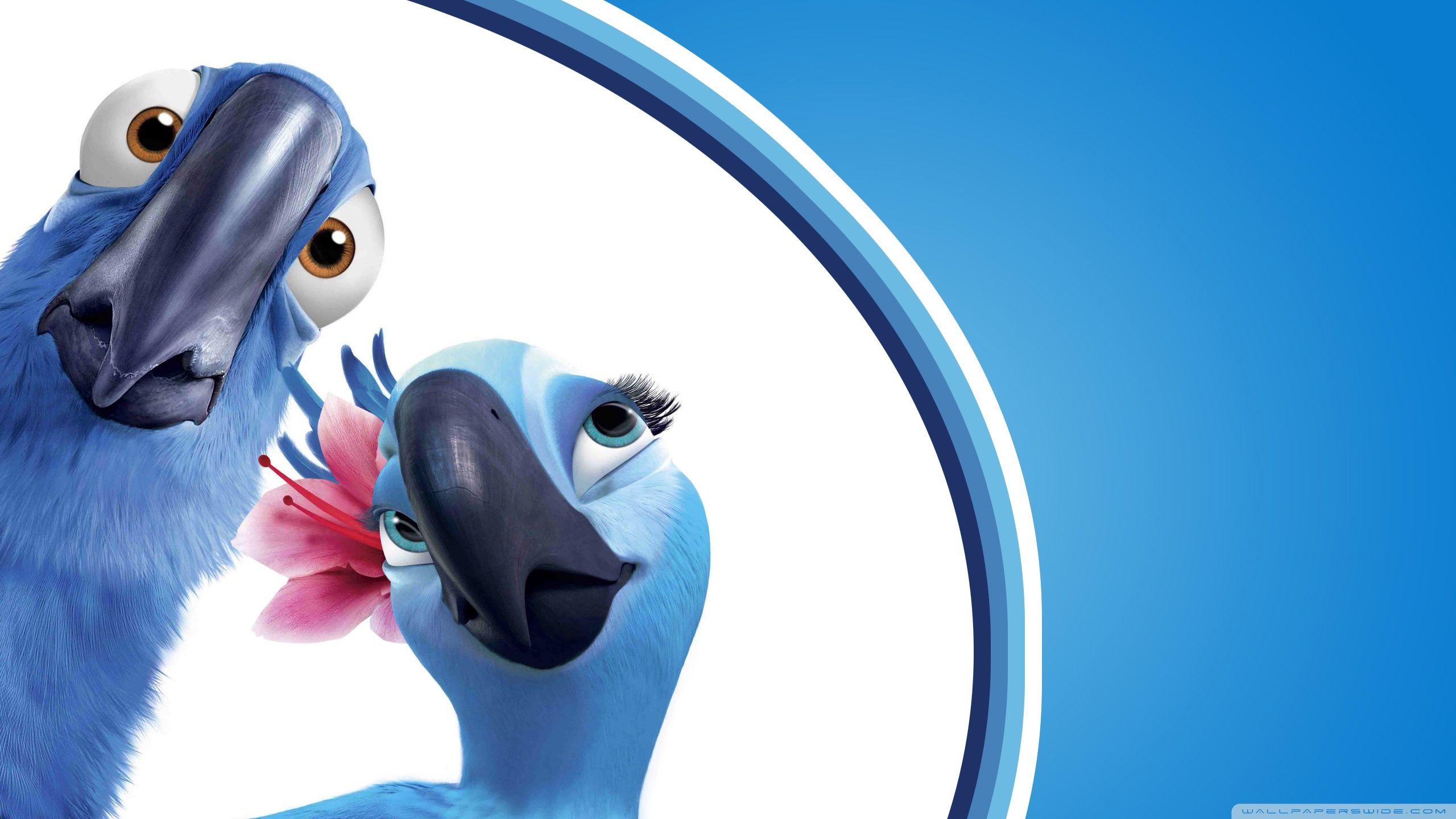 2560x1440 Rio Movie 4K UHD Wallpaper for UltraHD Desktop and TV : Widescreen and UltraWide Display