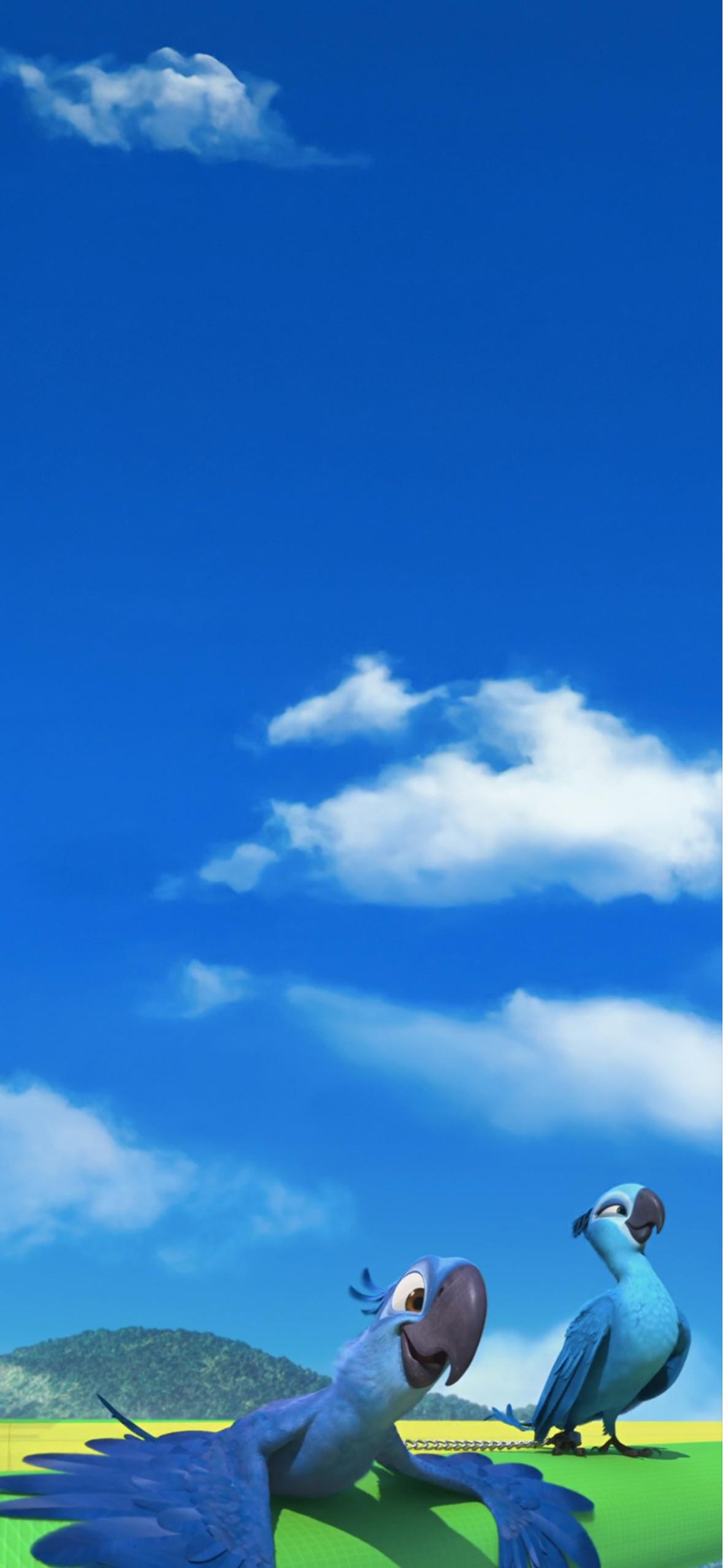 1179x2556 Rio Phone Wallpaper