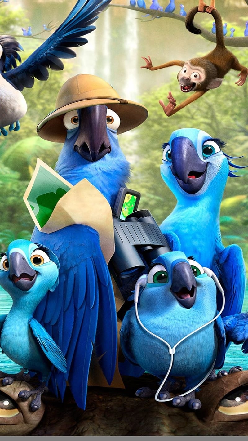 800x1422 HD parrot with rio wallpaper