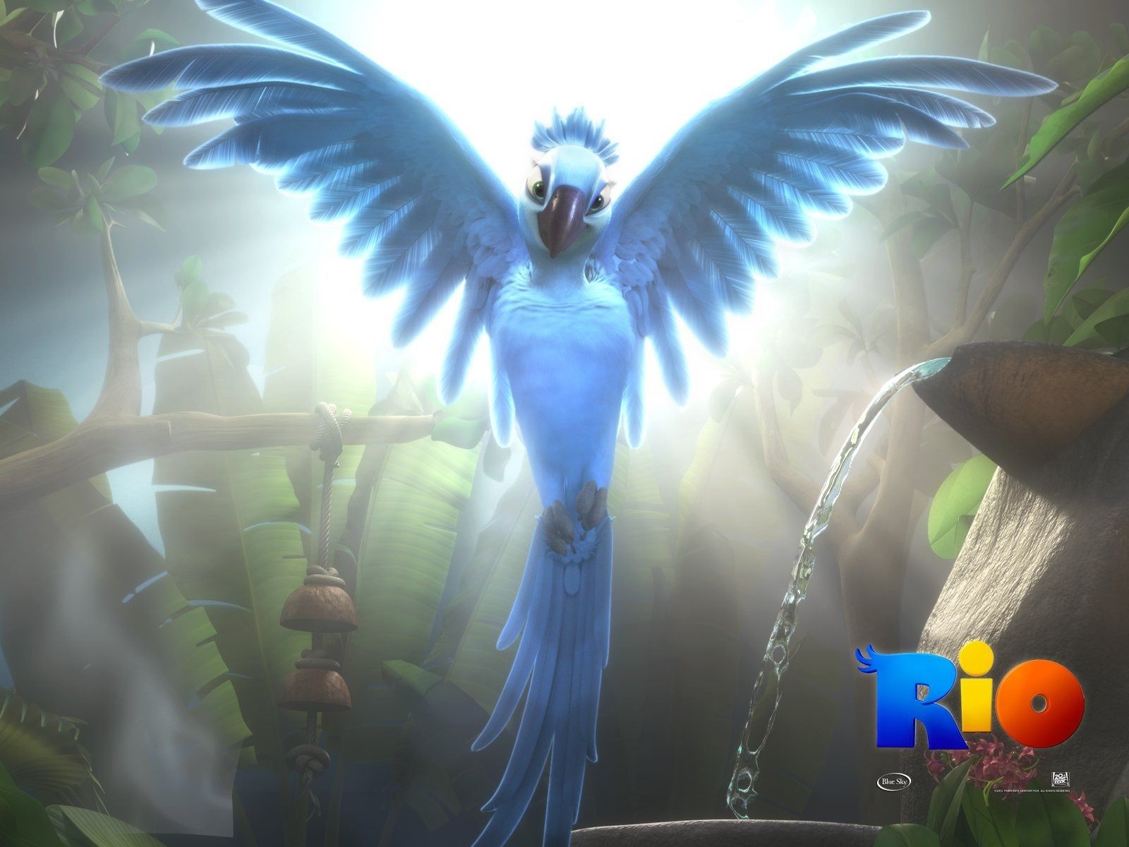 1600x1200 Rio Adventure Rio Movie Wallpaper 05