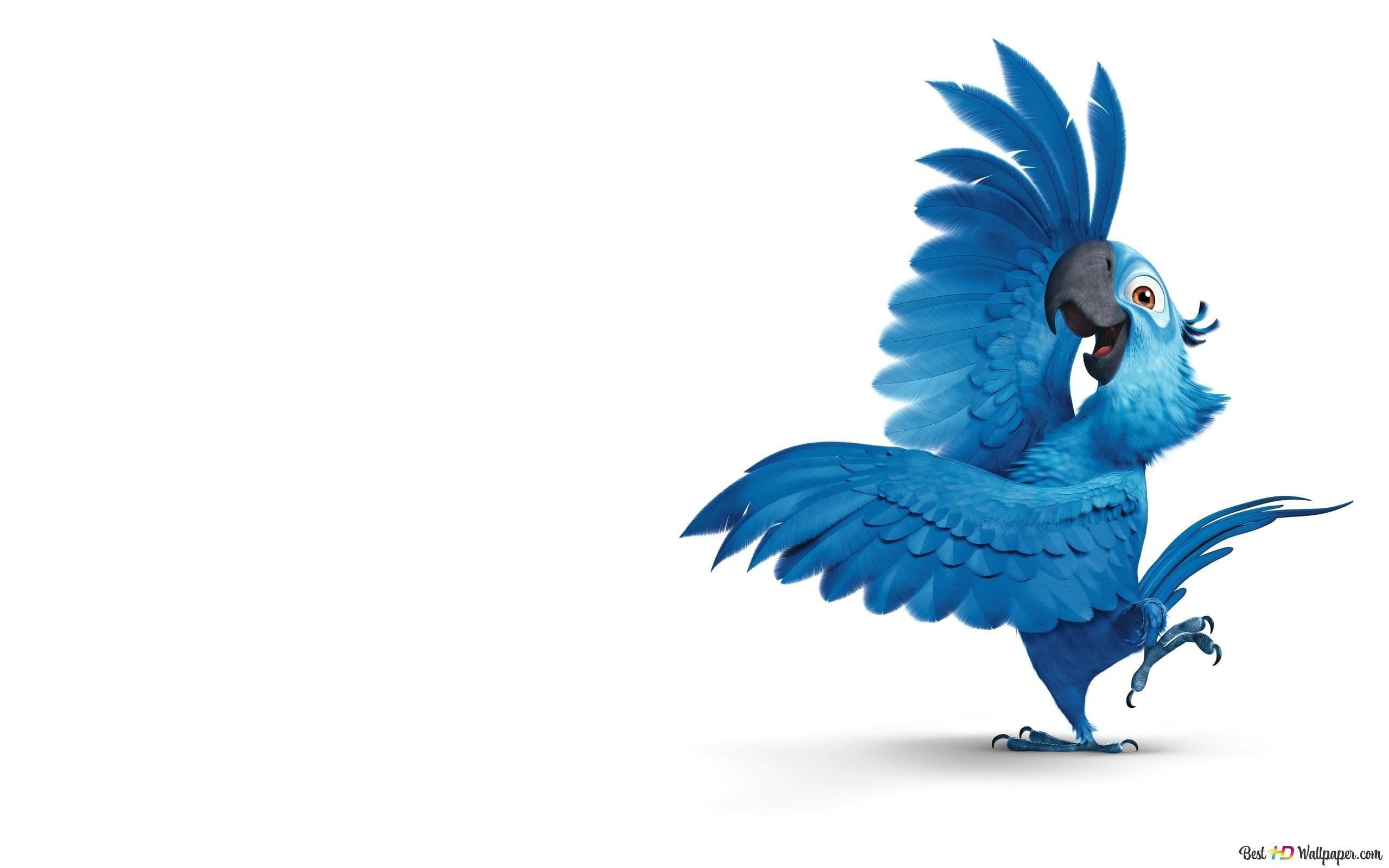 2560x1600 Rio cartoon blue parrot white background 2K wallpaper download