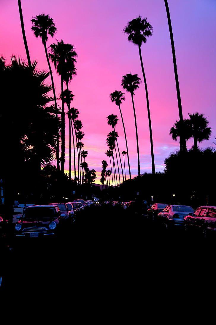 80s Palm Tree Sunset Wallpapers Top Free 80s Palm Tree Sunset