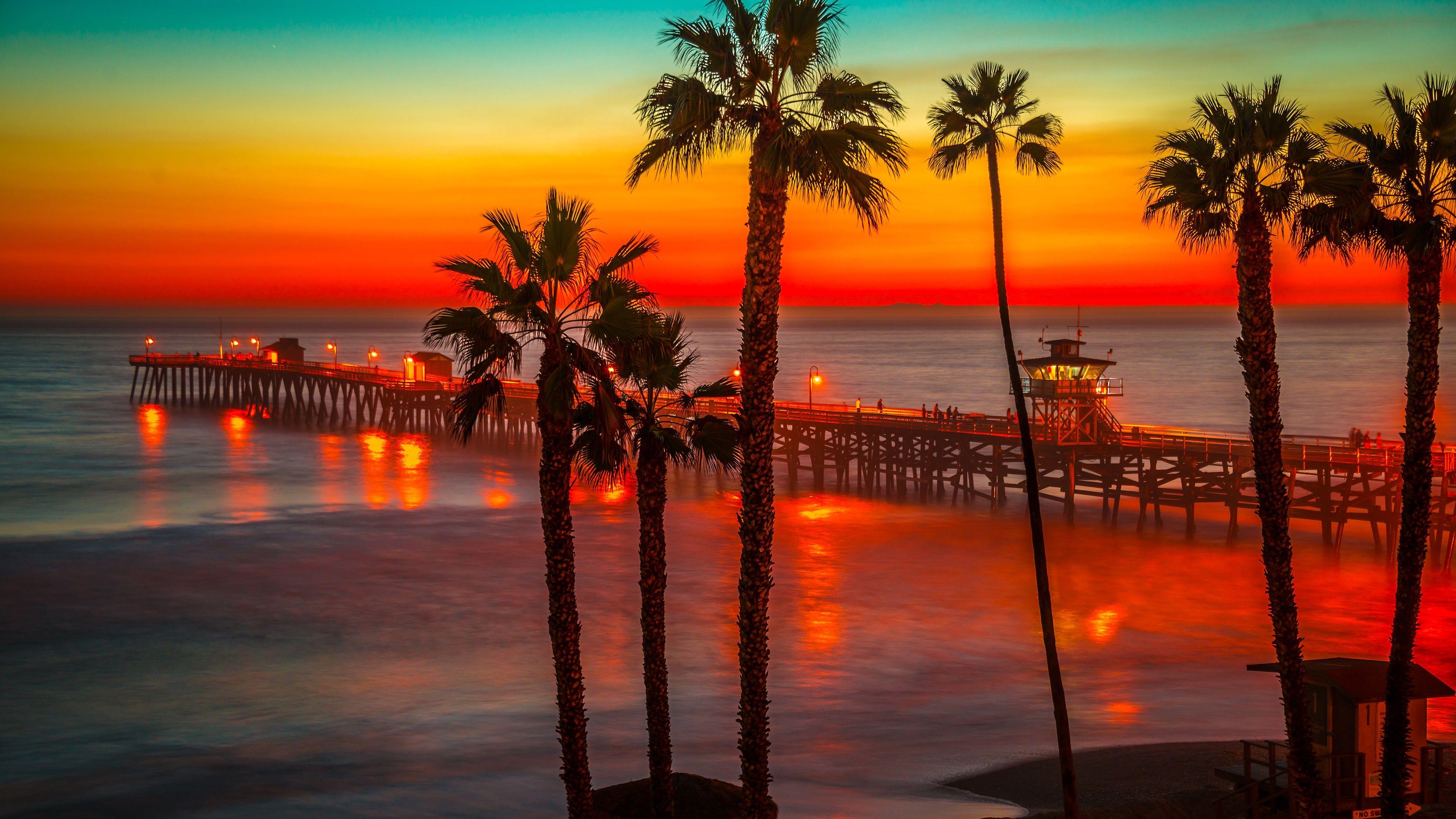 Los Angeles Sunset With Palm Trees 4k Wallpaper