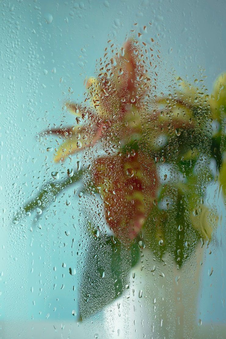 740x1110 Humidity Image
