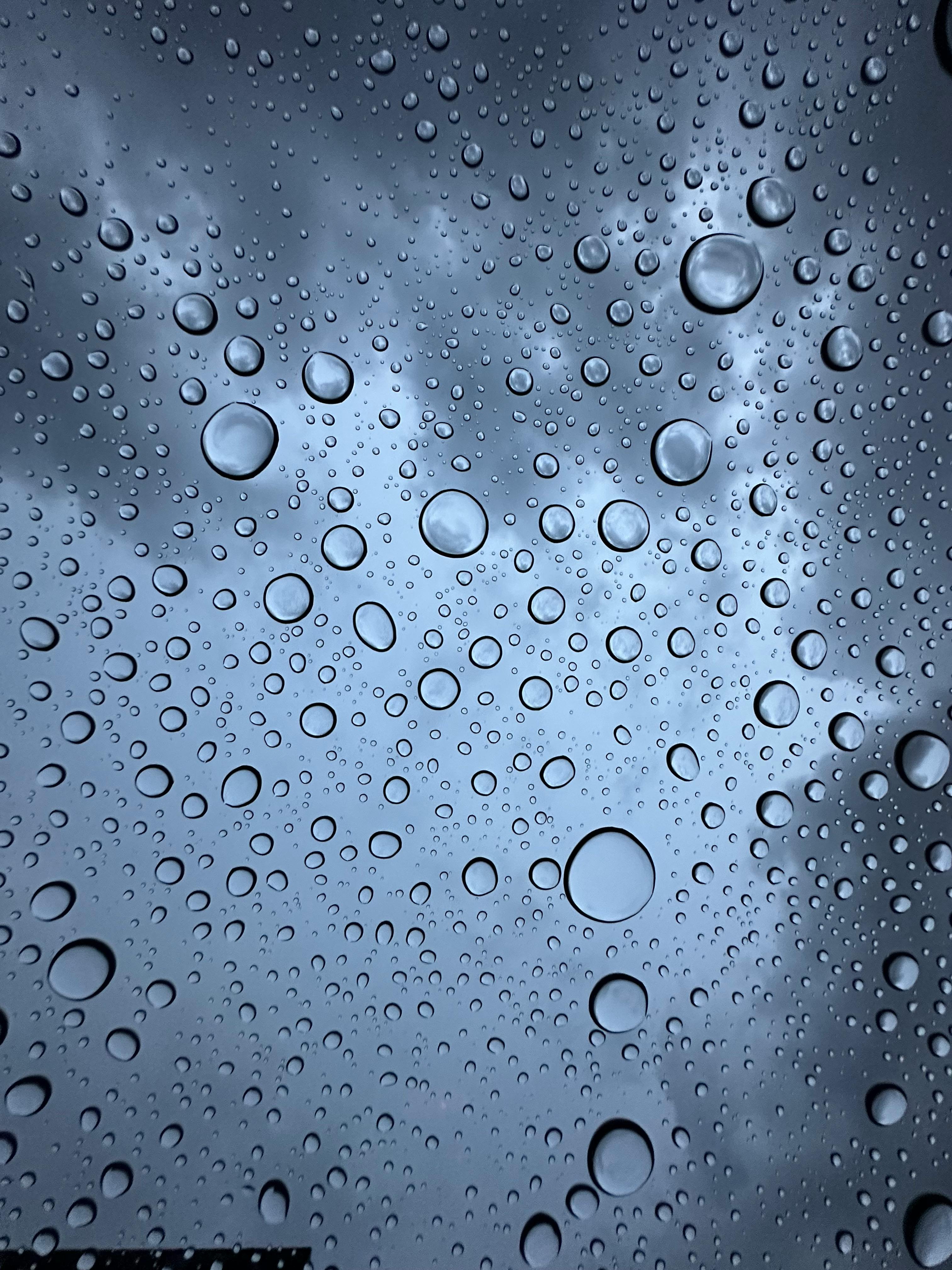 3024x4032 Humidity Photo, Download The BEST Free Humidity & HD Image