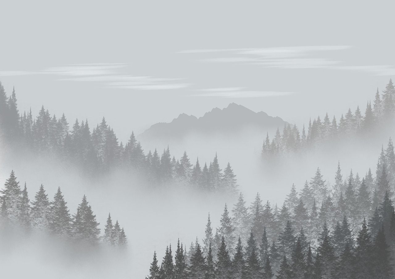 1280x905 Free Humidity & Nature Image