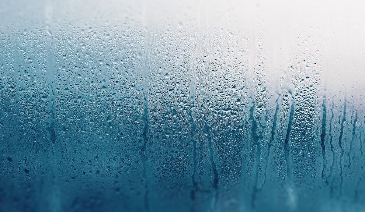 1200x696 What Is Humidity and Why Does It Matter?