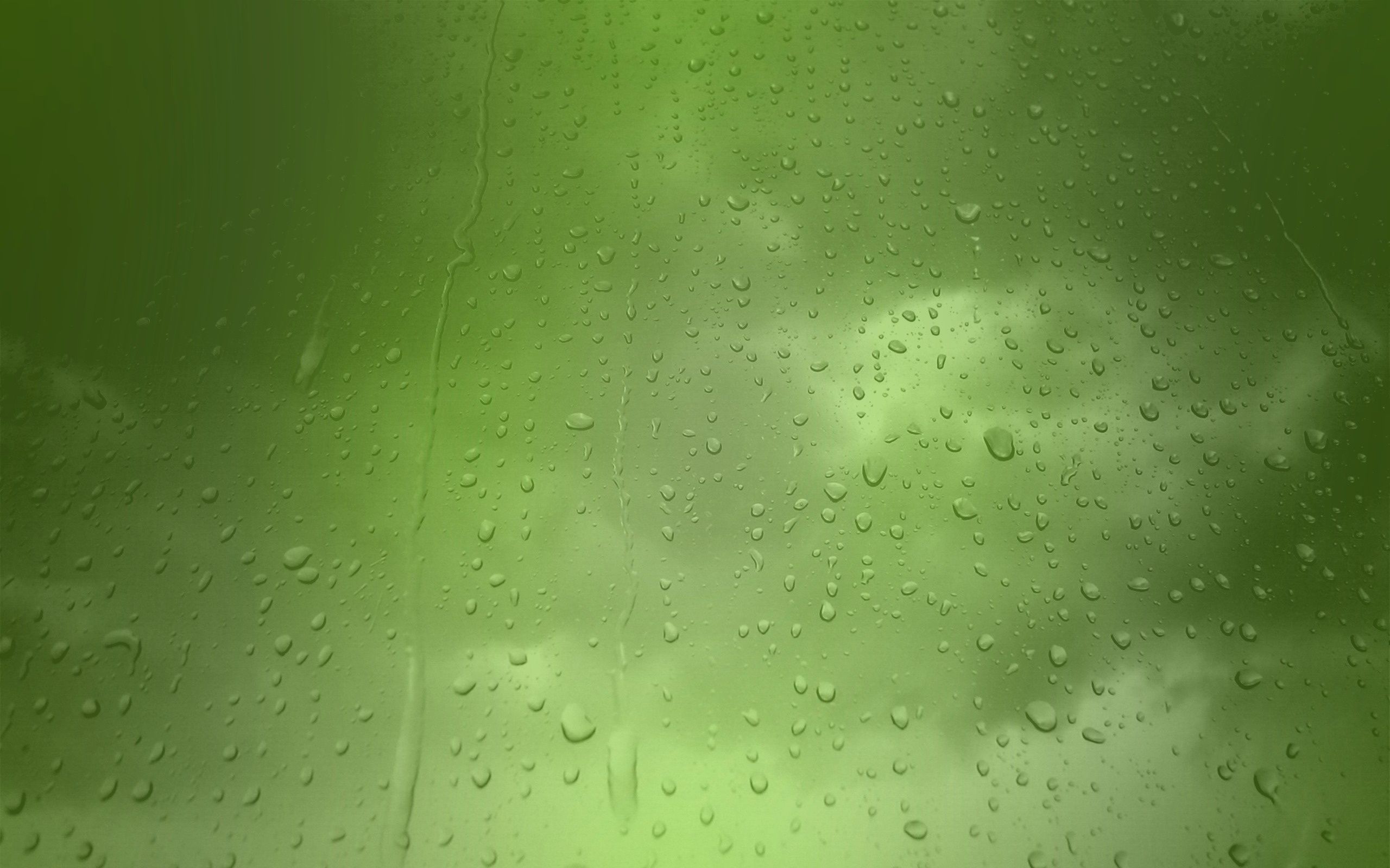 2560x1600 Wallpaper Green Rain, Rain, Green, Water, Moisture, Background Free Image
