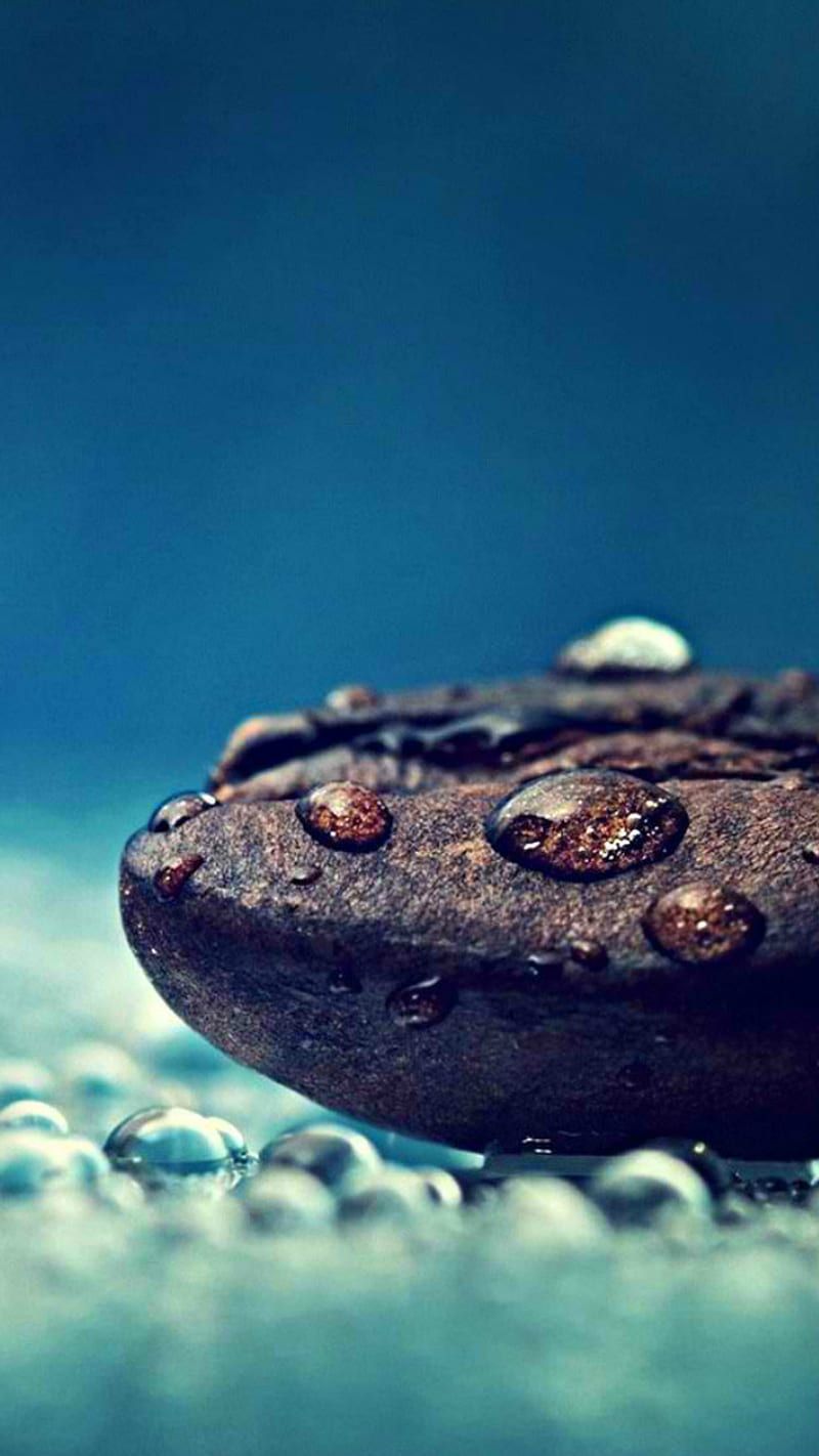 800x1422 HD humidity wallpaper