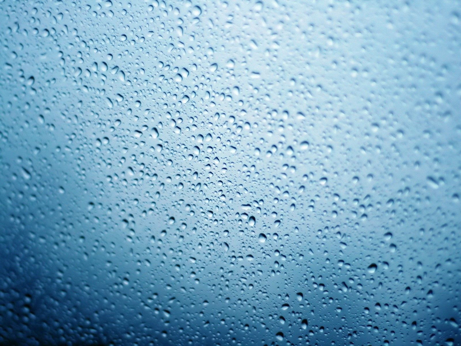 1600x1200 Humid Phone Wallpaper: Free 4K & HD Downloads