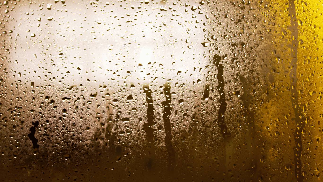 1366x768 The Importance Of Dehumidification In Florida's High Humidity Climate Dry Services Of Fort Myers & Naples