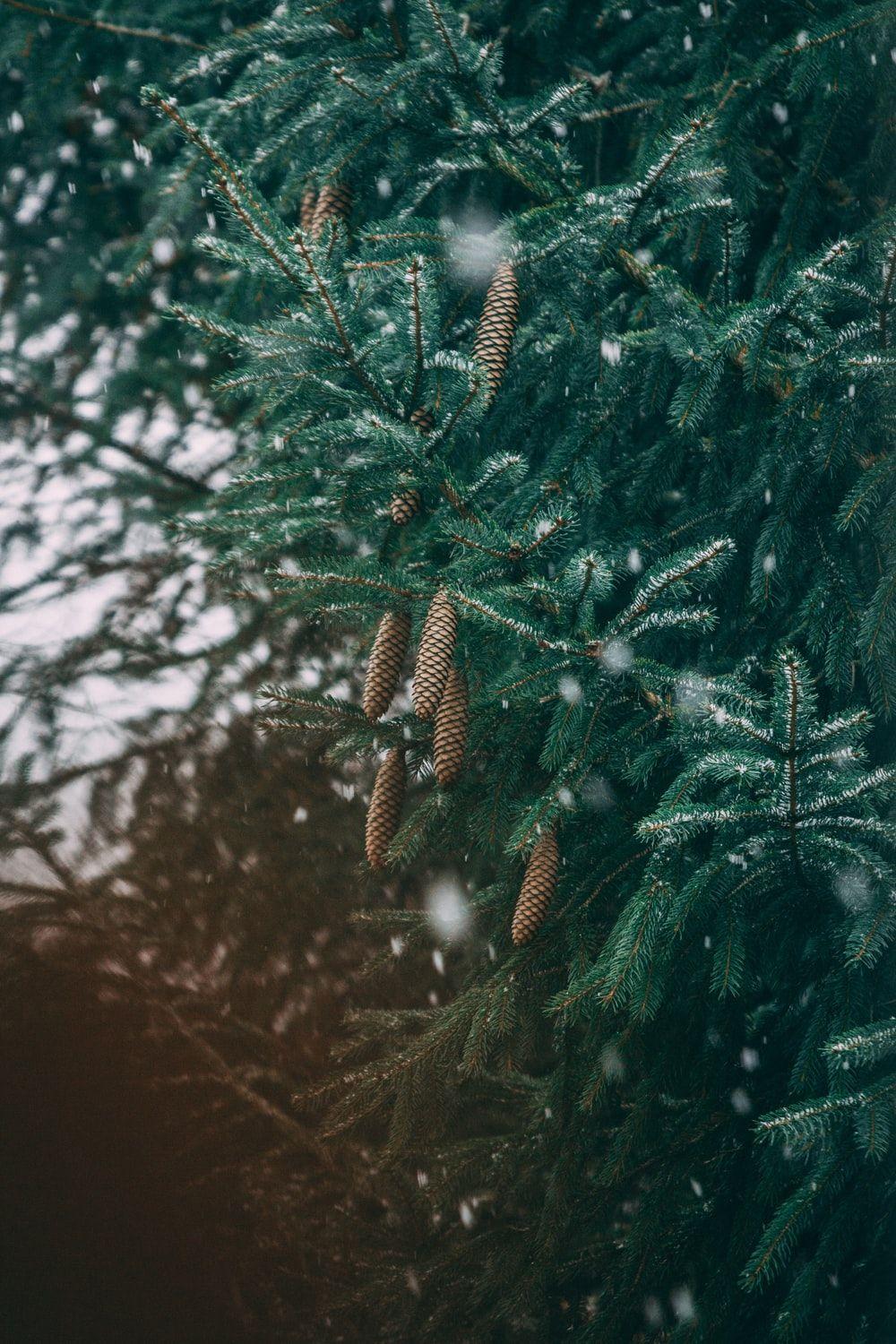 1000x1500 64k Wallpaper