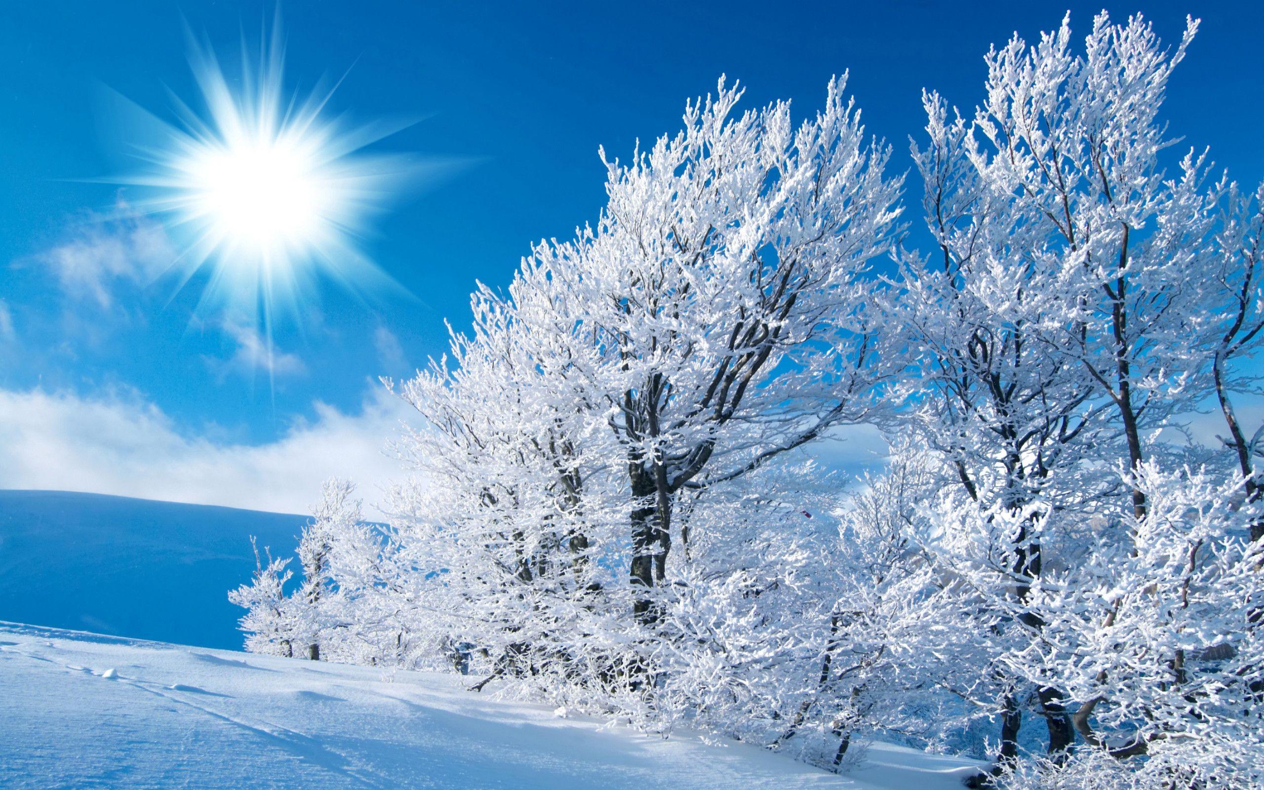 2560x1600 Wallpaper Winter Scenes