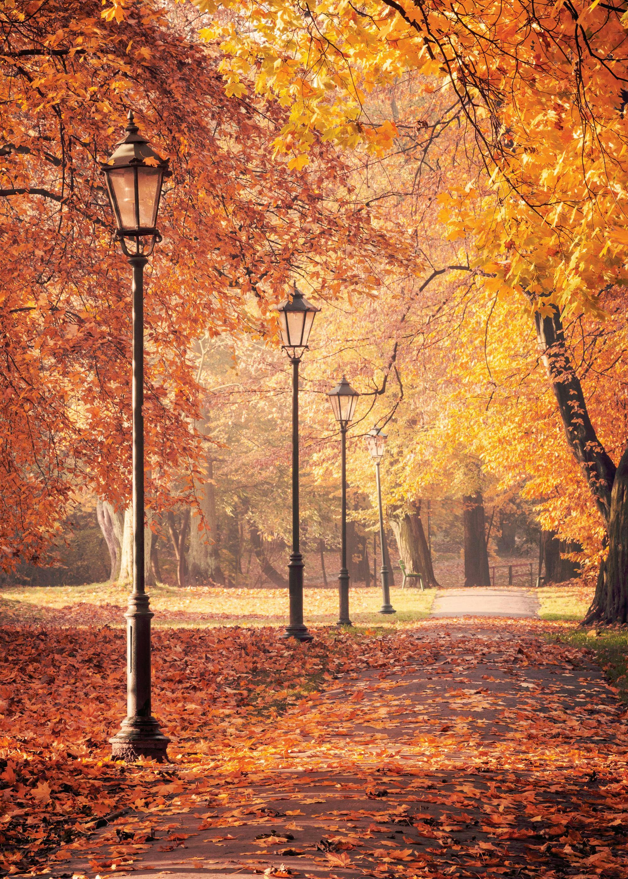 2000x2800 Cosy Autumn Poster Pack with autumn wall art. Poster Store NZ