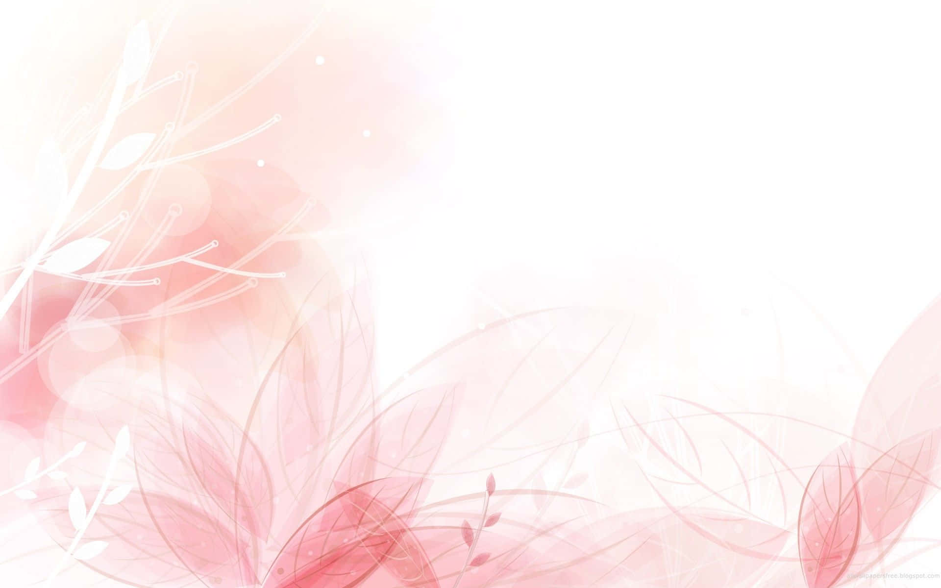 1920x1200 Plain Pink Desktop Wallpaper