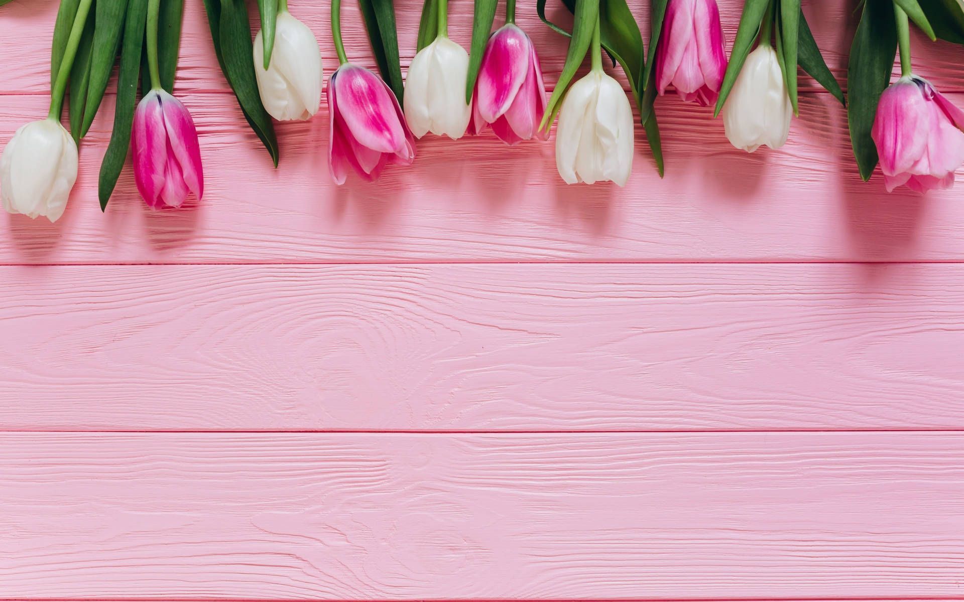 1920x1200 Pink Background