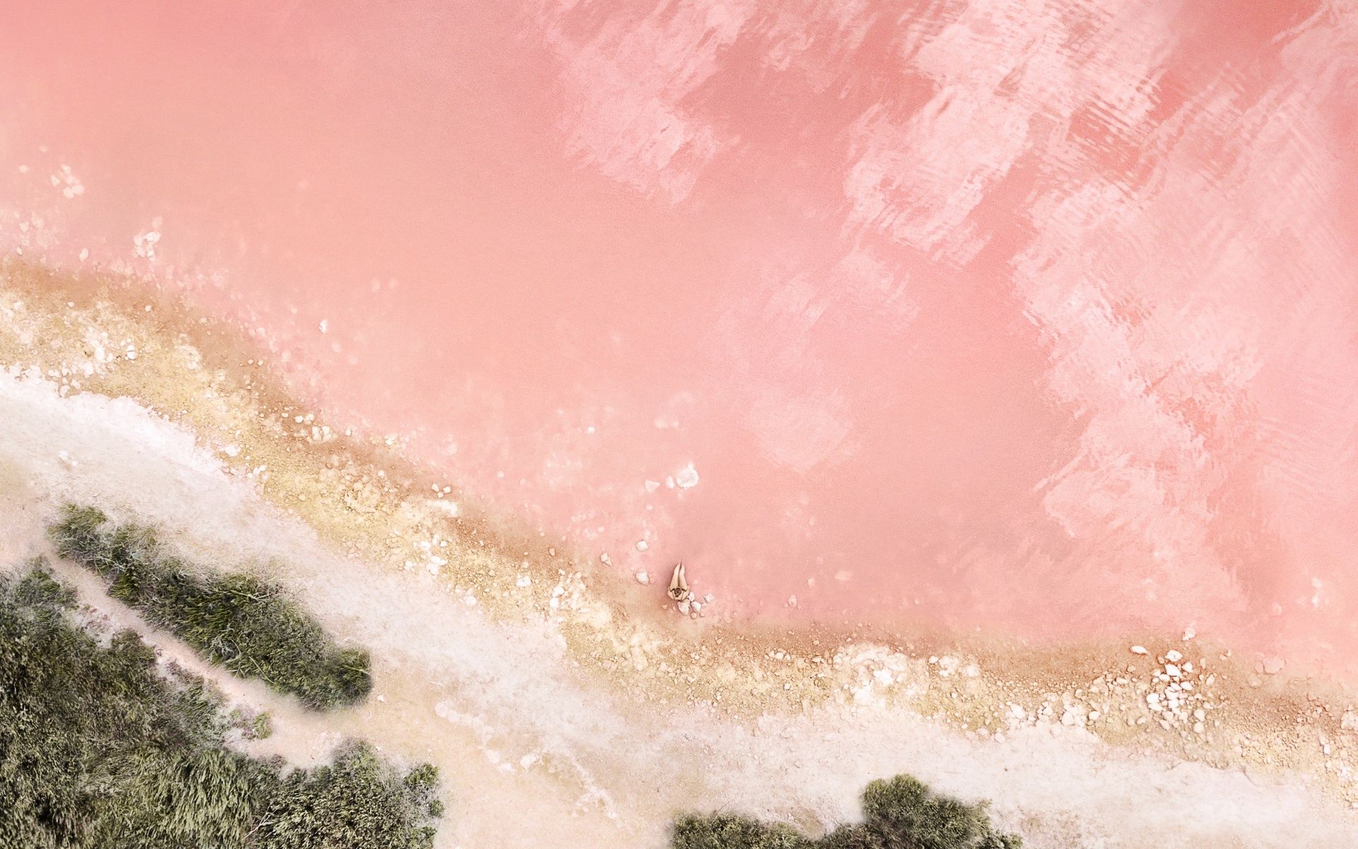 1920x1200 Beach Wallpaper 4K, Baby pink, Seashore, Aerial view