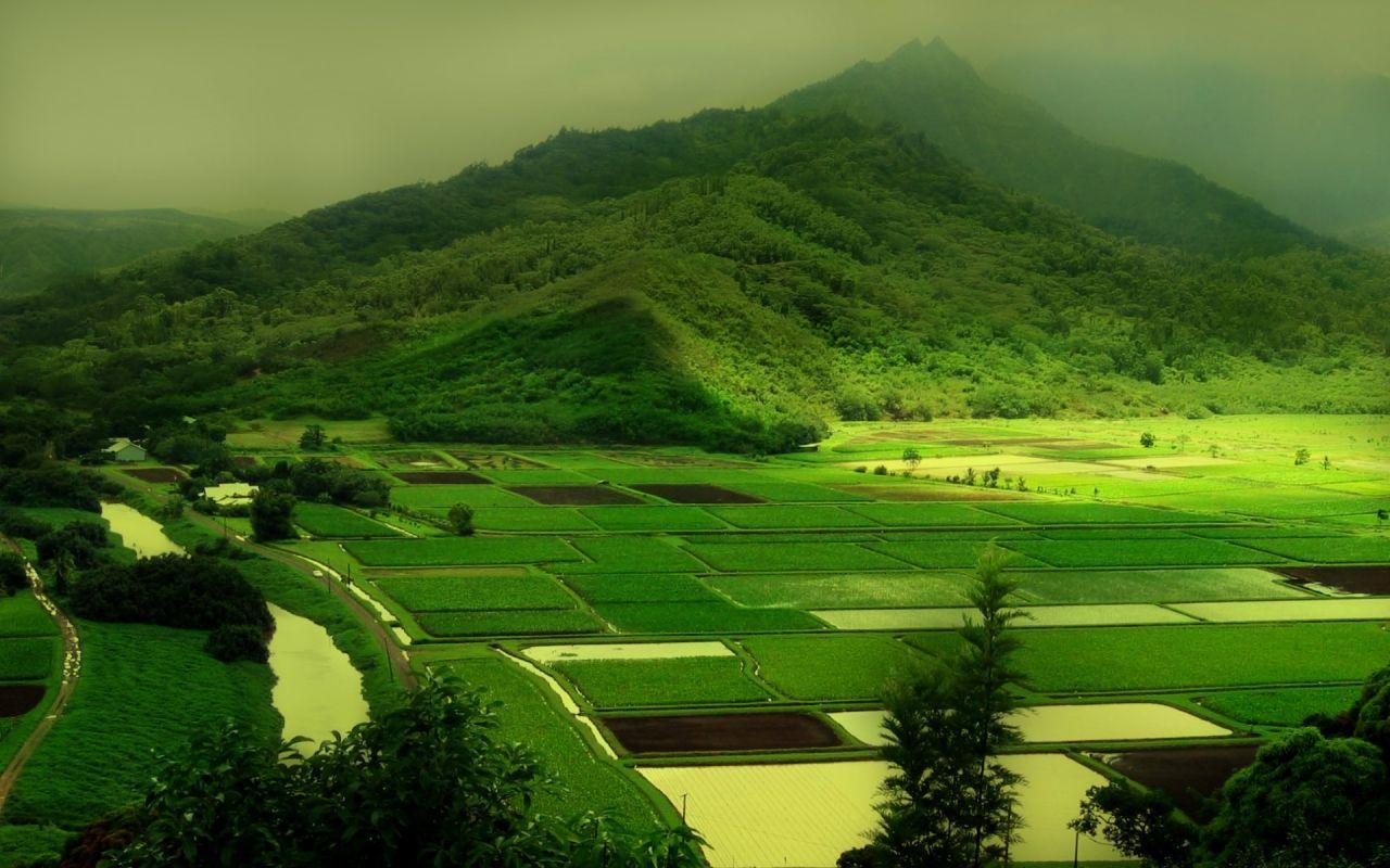 1280x800 Best Nature Background Widescreen High Quality PC Wallpaper