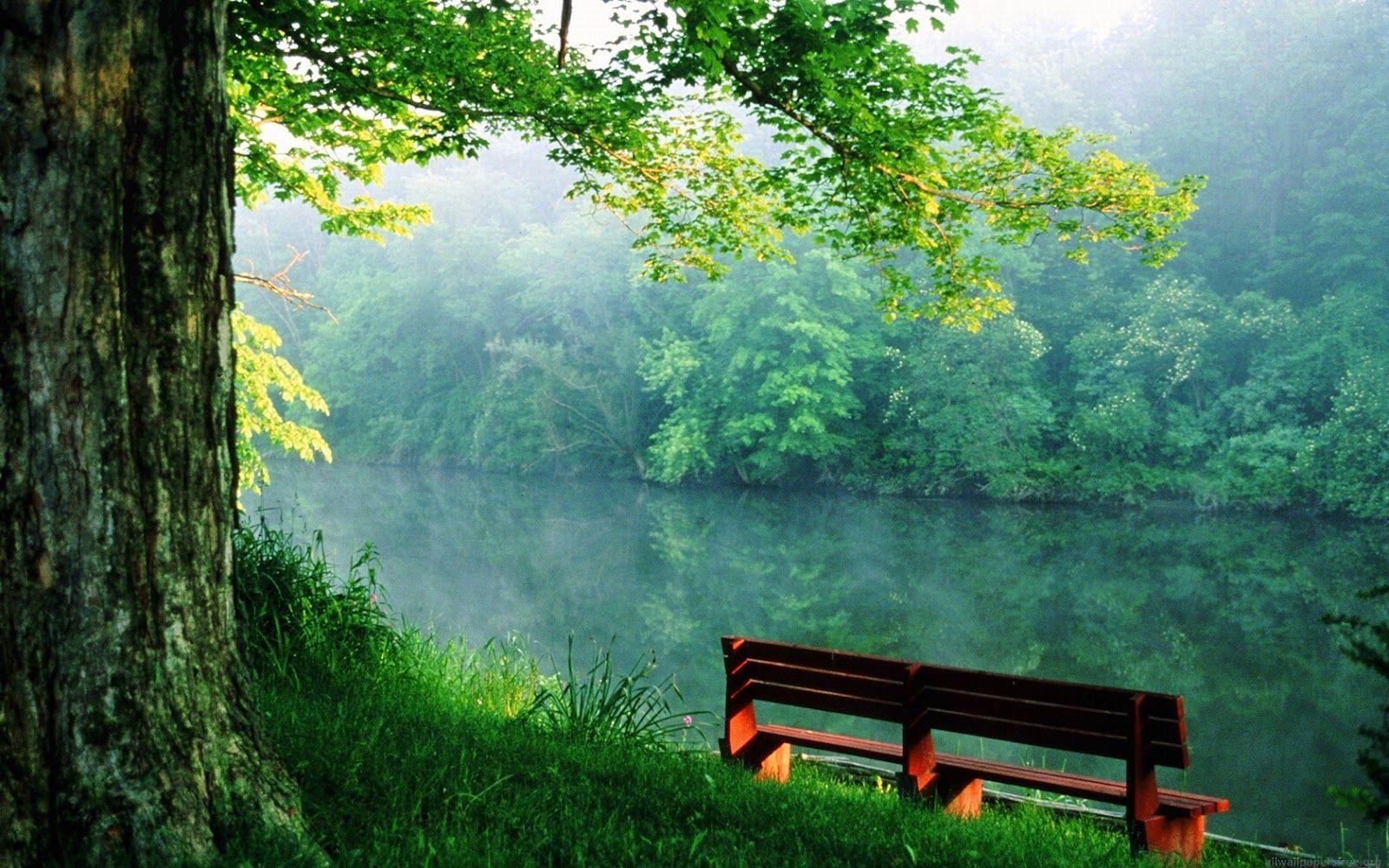 1600x1000 Full HD Nature Wallpaper, Awesome Full HD Nature Wallpaper