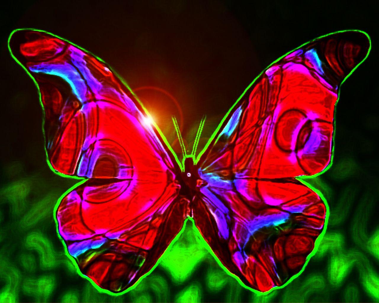 Hình nền con bướm đen và đỏ 1280x1024 Full HD - Bướm đẹp