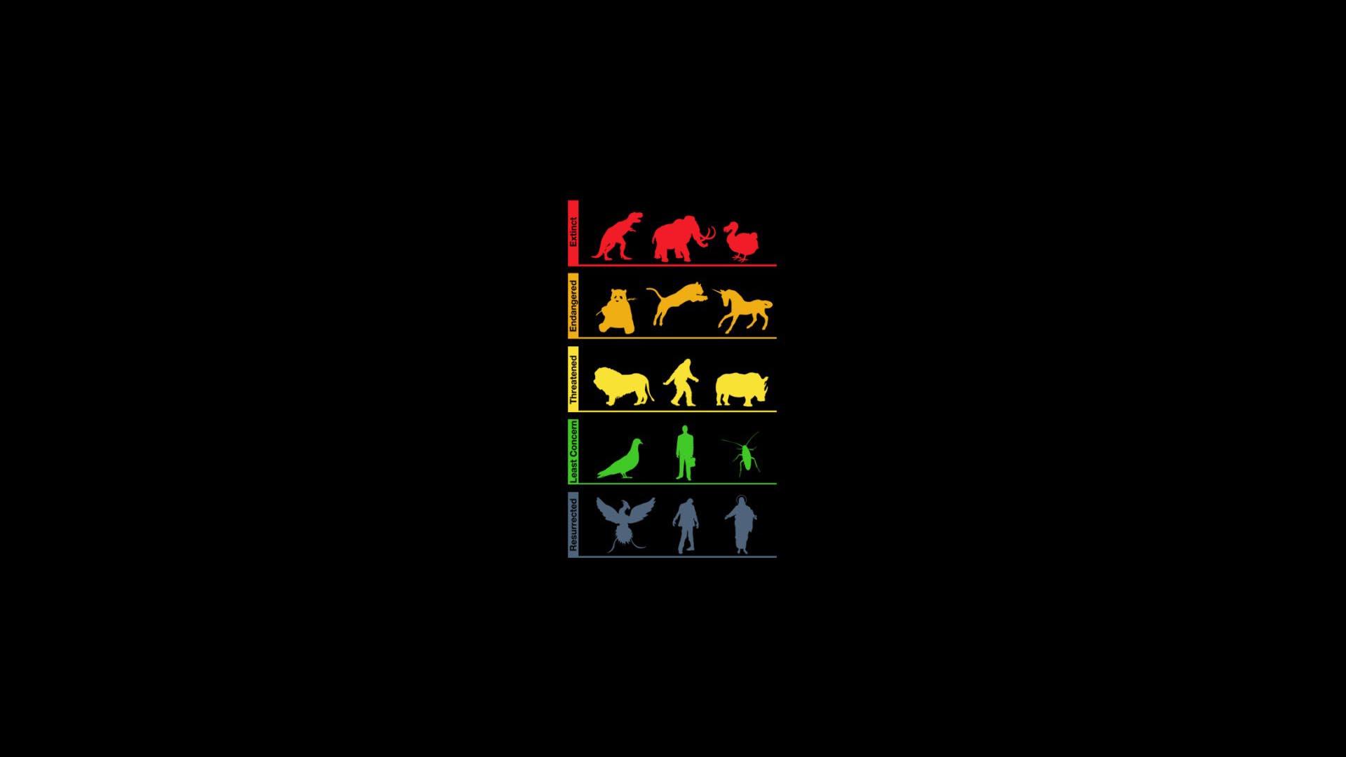 1920x1080 Food Chain Wallpaper. Food Wallpaper, Food Emoji Wallpaper and Cartoon Food Wallpaper